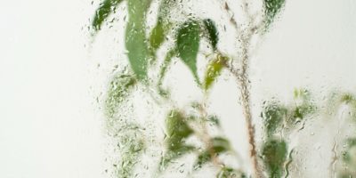 Humidité, condensation, moisissures : que faire (et quand s’inquiéter) ?